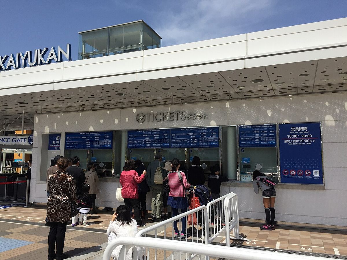 海遊館の写真