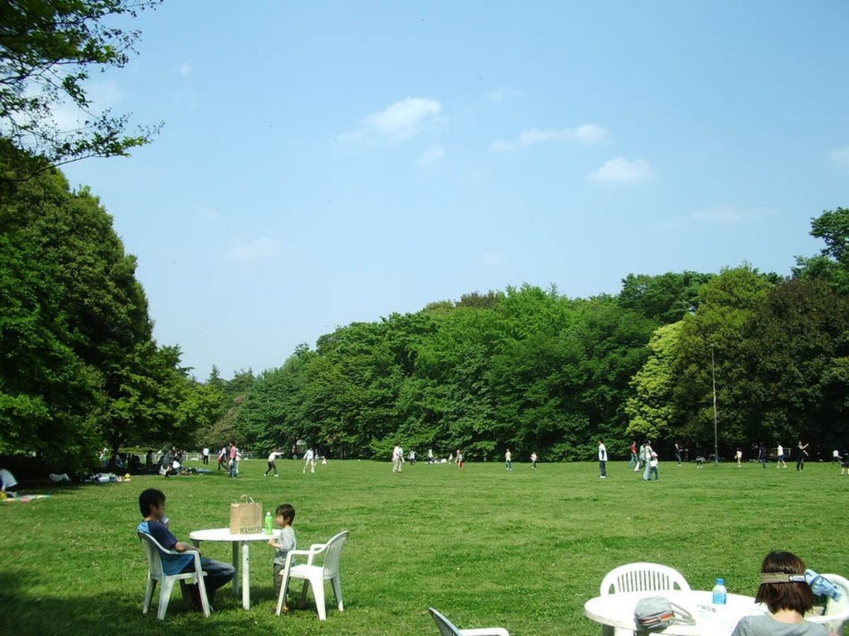 砧公園の写真